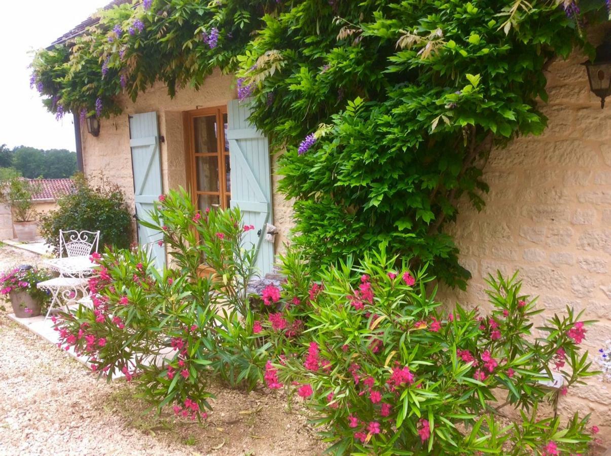 ドンム Les Jonquilles Bed & Breakfast エクステリア 写真